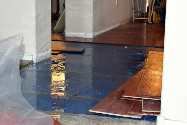 Professional Basement Water Removal technician working in Columbus, KS
